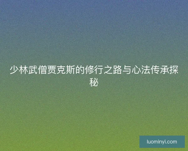 少林武僧贾克斯的修行之路与心法传承探秘