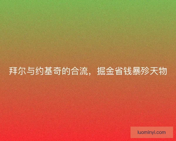 拜尔与约基奇的合流，掘金省钱暴殄天物
